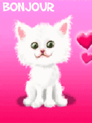 Gifs animés bonjour chat blanc